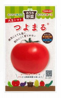[トマト/大玉トマト]　つよまる　12粒　サカタのタネ　実咲