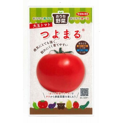画像1: [トマト/大玉トマト]　つよまる　12粒　サカタのタネ（株）　実咲400