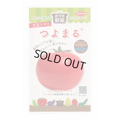 画像1: 送料無料　[トマト/大玉トマト]　つよまる　12粒　(株)サカタのタネ　実咲450（104074）