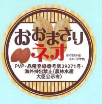 青果シール　落花生　おおまさりネオ　　100枚