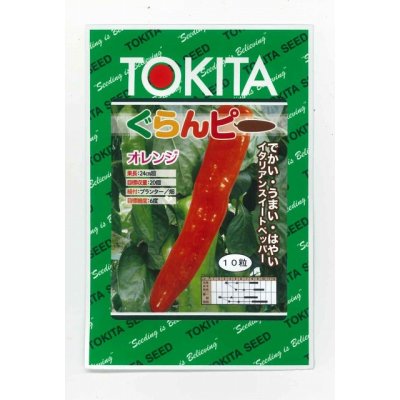画像1: 送料無料　[パプリカ]　ぐらんピー　オレンジ　10粒　トキタ種苗(株)