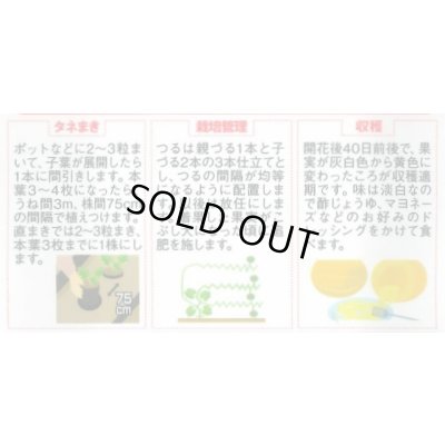 画像2: 送料無料　[かぼちゃ]　そうめんカボチャ　金糸うり　約30粒　(株)サカタのタネ　実咲450（002881）