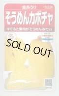 送料無料　[かぼちゃ]　そうめんカボチャ　金糸うり　約30粒　(株)サカタのタネ　実咲450（002881）