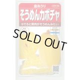 送料無料　[かぼちゃ]　そうめんカボチャ　金糸うり　約30粒　(株)サカタのタネ　実咲450（002881）