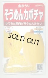送料無料　[かぼちゃ]　そうめんカボチャ　金糸うり　約30粒　(株)サカタのタネ　実咲450（002881）