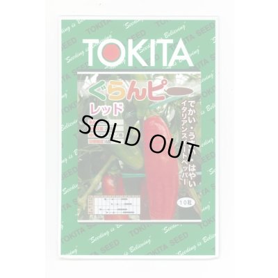 画像1: 送料無料　[パプリカ]　ぐらんピー　レッド　10粒　トキタ種苗(株)