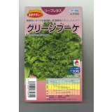 送料無料　[レタス]　グリーンブーケ　ペレット　130粒　タキイ種苗(株)