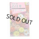 送料無料　花の種　百日草(ジニア)・ザハラダブル　ミックス　小袋　タキイ種苗(株)NL300