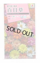 送料無料　花の種　百日草(ジニア)・ザハラダブル　ミックス　小袋　タキイ種苗(株)NL300