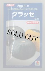 送料無料　[かぼちゃ]　グラッセ　100粒　タキイ種苗