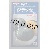 送料無料　[かぼちゃ]　グラッセ　100粒　タキイ種苗