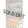 送料無料　[かぼちゃ]　すずなりパンプティ　6粒　ナント種苗(株)