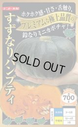 送料無料　[かぼちゃ]　すずなりパンプティ　6粒　ナント種苗(株)