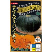 [かぼちゃ]　すずなりパンプティ　6粒　ナント種苗（株）