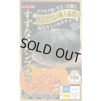 [かぼちゃ]　すずなりパンプティ　6粒　ナント種苗