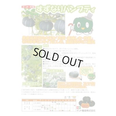 画像2: 送料無料　[かぼちゃ]　すずなりパンプティ　6粒　ナント種苗(株)