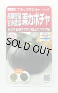 送料無料　[かぼちゃ]　ブラックのジョー　6粒　(株)サカタのタネ　実咲450（002875）