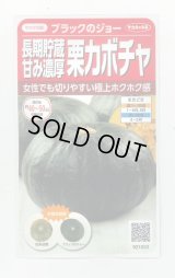 送料無料　[かぼちゃ]　ブラックのジョー　6粒　(株)サカタのタネ　実咲450（002875）
