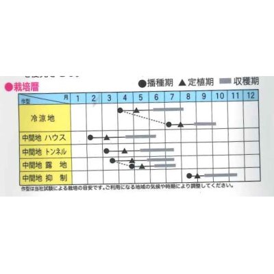 画像2: [ズッキーニ]　ゼルダ・ライム　100粒　トキタ種苗（株）