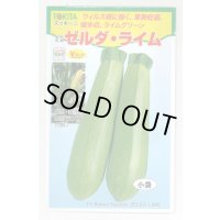 送料無料　[ズッキーニ]　ゼルダ・ライム　10粒　トキタ種苗(株)