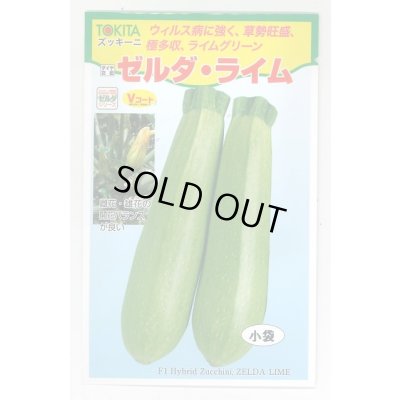 画像1: 送料無料　[ズッキーニ]　ゼルダ・ライム　10粒　トキタ種苗(株)