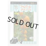 送料無料　トマト種　フラガール　オランジェ　100粒