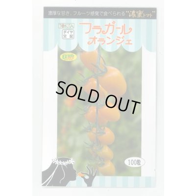 画像1: 送料無料　トマト種　フラガール　オランジェ　100粒