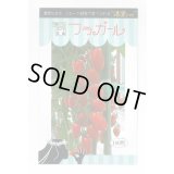送料無料　[トマト/ミニトマト]　フラガール　100粒　トキタ種苗(株)