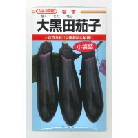 送料無料　[なす]　大黒田茄子　70粒　カネコ種苗（株）