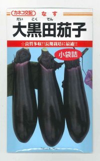 送料無料　[なす]　大黒田茄子　70粒　カネコ種苗（株）