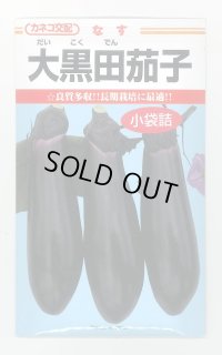 送料無料　[なす]　大黒田茄子　70粒　カネコ交配