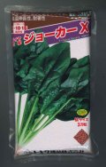 ほうれんそう　ジョーカーＸ　3万粒（種子サイズ：Ｍ）　トキタ種苗(株)