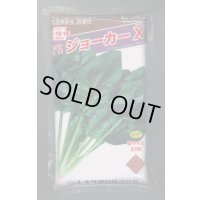 ほうれんそう　ジョーカーＸ　3万粒（種子サイズ：Ｍ）　トキタ種苗(株)