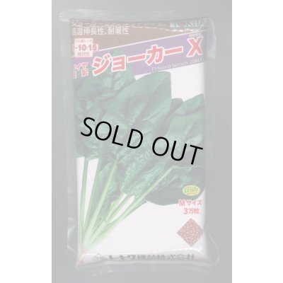 画像1: ほうれんそう ジョーカーＸ 3万粒（種子サイズ：Ｍ） トキタ種苗(株)