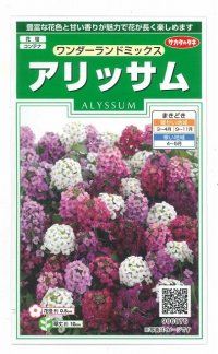 花の種　アリッサム　ワンダーランドミックス　約43粒　サカタのタネ（株）実咲250