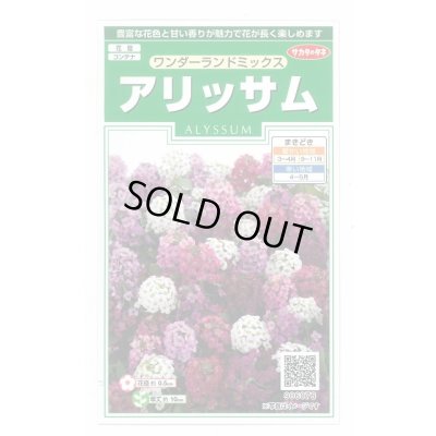 画像1: 送料無料　花の種　アリッサム　ワンダーランドミックス　約43粒　(株)サカタのタネ　実咲250（102787）