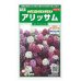 画像1: 花の種　アリッサム　ワンダーランドミックス　約43粒　サカタのタネ（株）実咲250 (1)