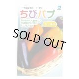 送料無料　[パプリカ]　ちびパプ　ゴールド　5粒　丸種(株)