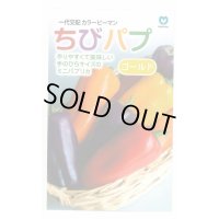 送料無料　[パプリカ]　ちびパプ　ゴールド　5粒　丸種(株)