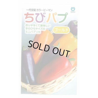 画像1: 送料無料　[パプリカ]　ちびパプ　ゴールド　5粒　丸種(株)