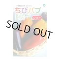 送料無料　[パプリカ]　ちびパプ　レッド　5粒　（2025年10％増量）　丸種(株)