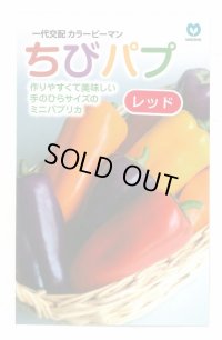 送料無料　[パプリカ]　ちびパプ　レッド　5粒　（2025年10％増量）　丸種(株)