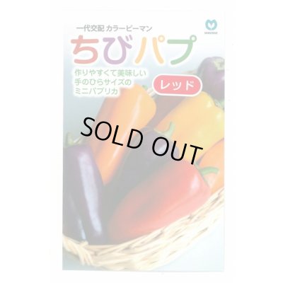 画像1: 送料無料　[パプリカ]　ちびパプ　レッド　5粒　（2025年10％増量）　丸種(株)