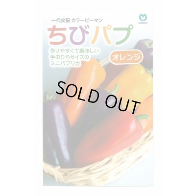 画像1: 送料無料　[パプリカ]　ちびパプ　オレンジ　5粒　丸種(株)