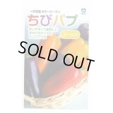 送料無料　[パプリカ]　ちびパプ　ゴールド　100粒　丸種(株)
