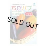 送料無料　[パプリカ]　ちびパプ　レッド　100粒　（2025年10％増量）　丸種(株)