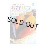 送料無料　[パプリカ]　ちびパプ　オレンジ　100粒　丸種(株)
