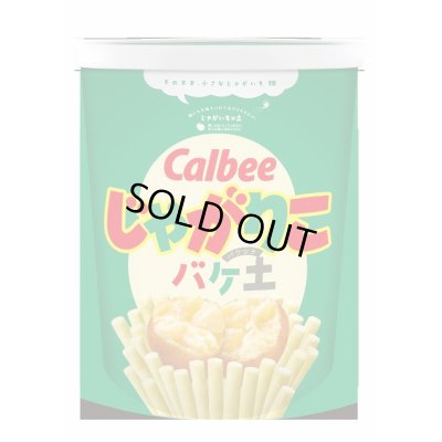 画像1: 送料無料！じゃがりこバケ土12L　カルビー