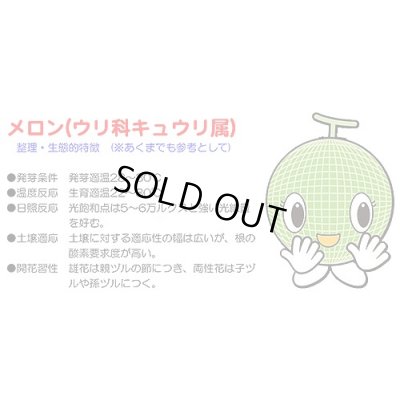 画像3: 送料無料　[メロン]　アールス・ムーラン早春晩秋　100粒　ナント種苗(株)