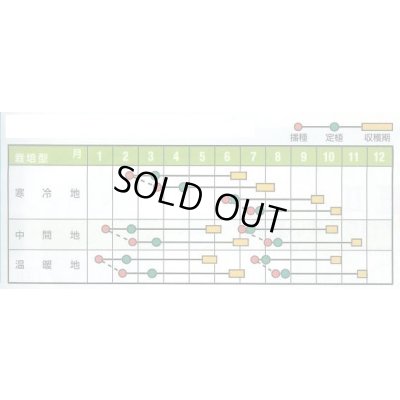 画像5: 送料無料　[メロン]　アールス・ムーラン早春晩秋　100粒　ナント種苗(株)